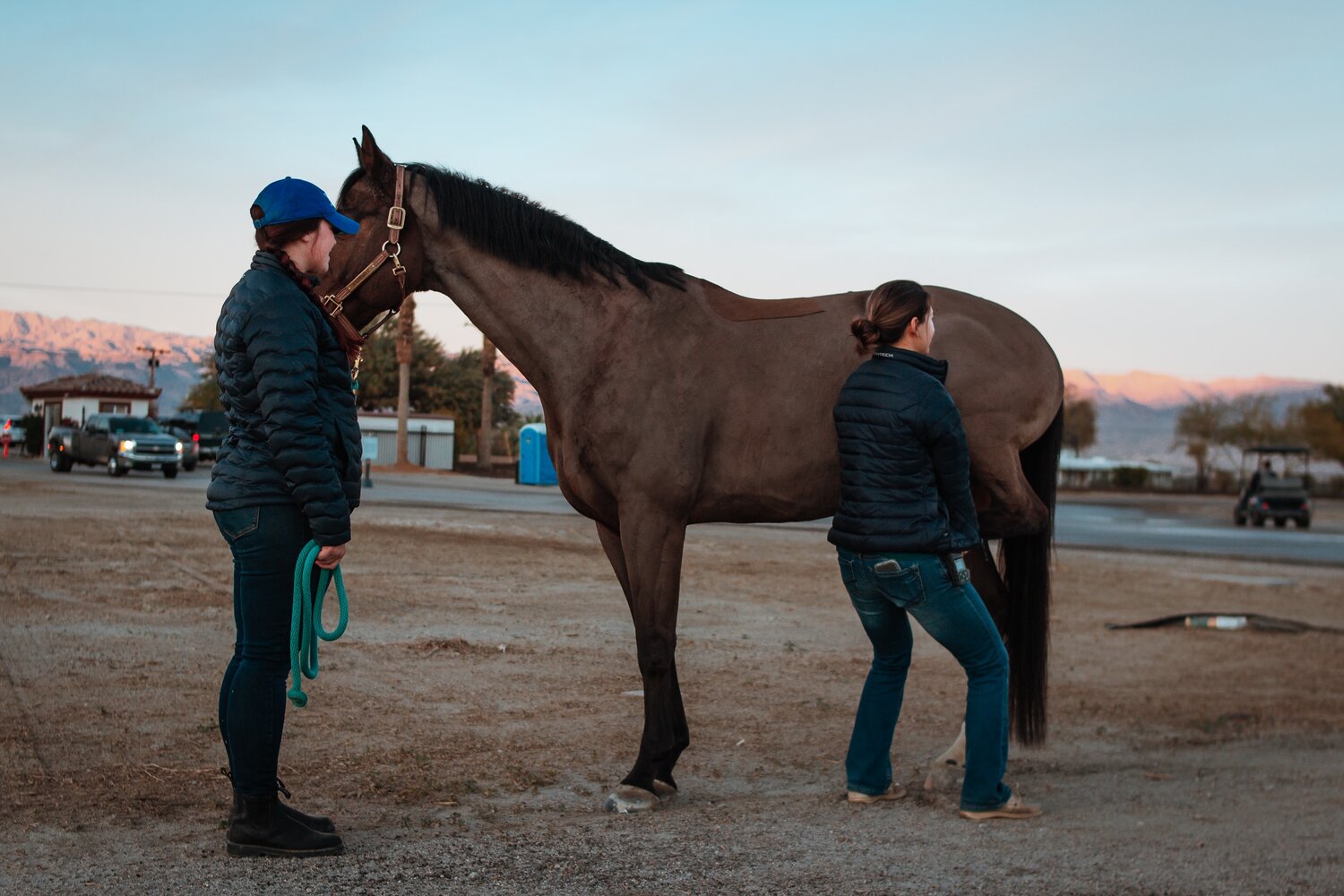 Evaluating The Horse As An Athlete
