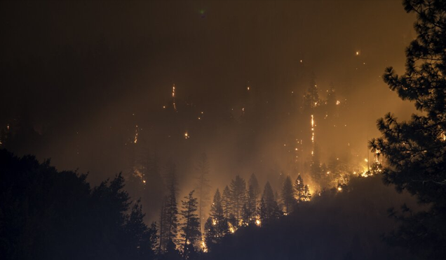 California Wildfire Relief